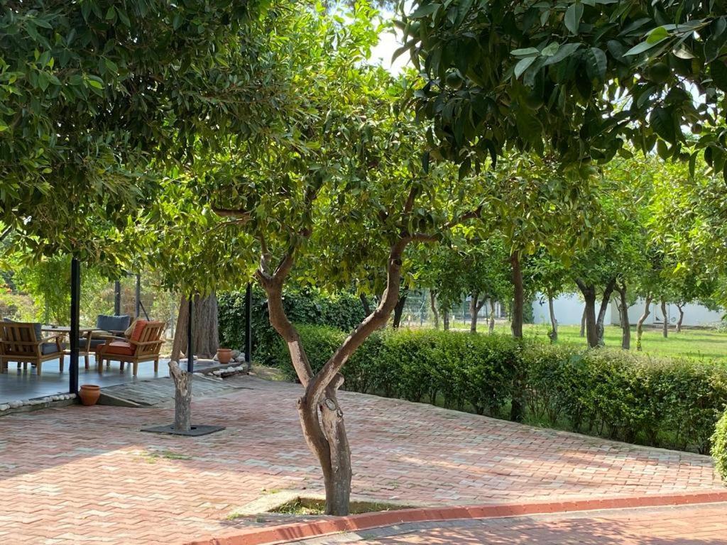 Omorfi Garden Resort Kemer Exterior foto